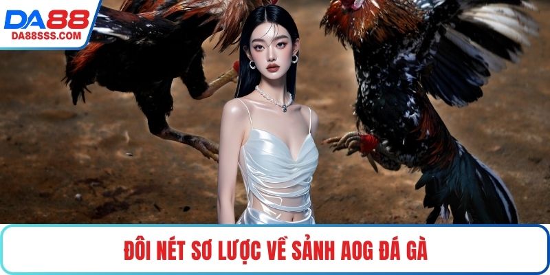 Đôi nét sơ lược về sảnh AOG Đá gà