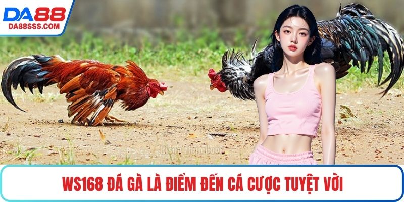 WS168 đá gà là điểm đến cá cược tuyệt vời