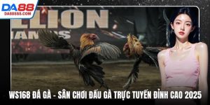 WS168 Đá Gà – Sân Chơi Đấu Gà Trực Tuyến Đỉnh Cao 2025